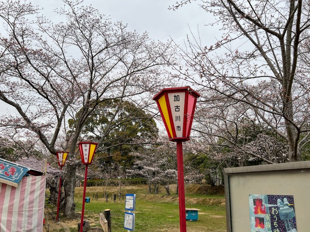 日岡山公園のぼんぼり