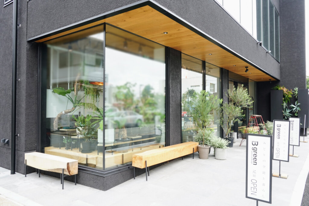 【開店】7/22にオープンした観葉植物をインテリアとして楽しむお店 ブロッサムBgreenの店内を見せてもらいました! | かこがわノート