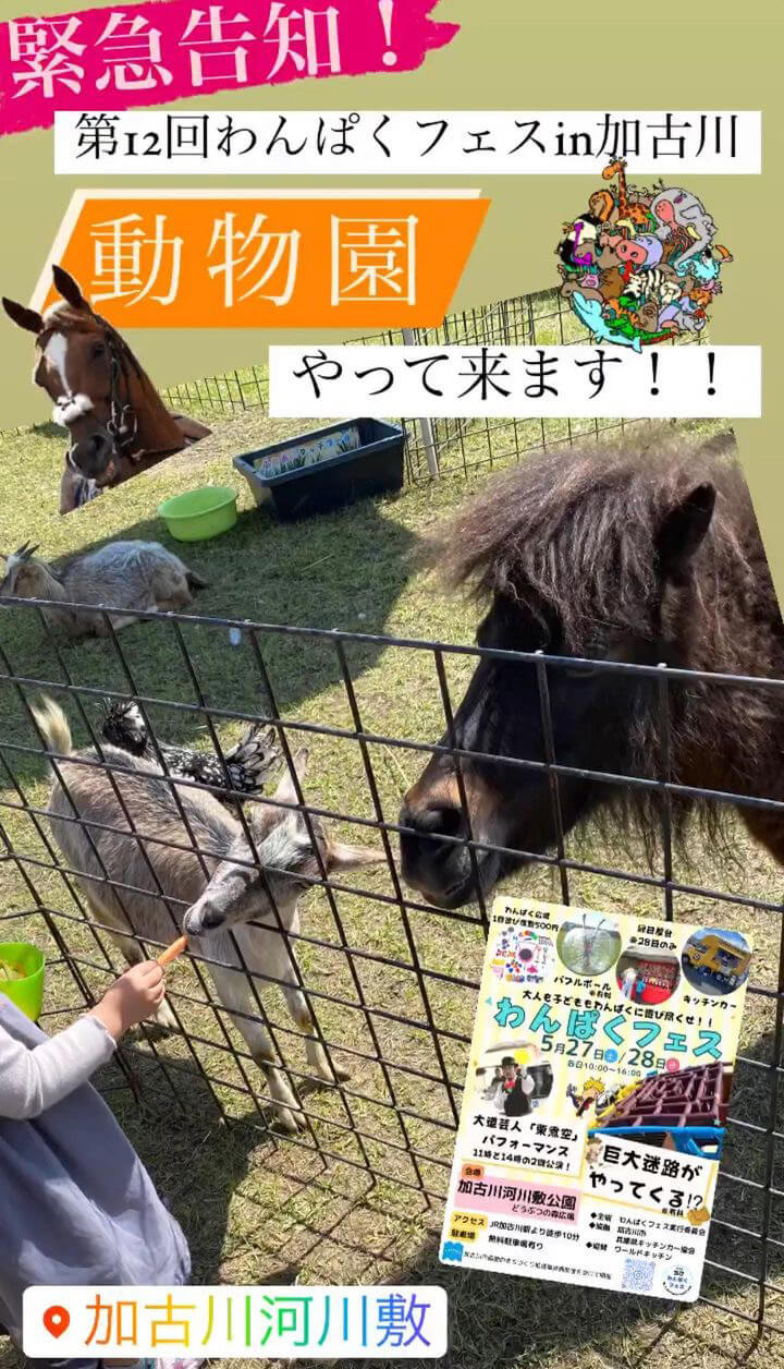 わんぱくフェスin加古川の動物園イメージ