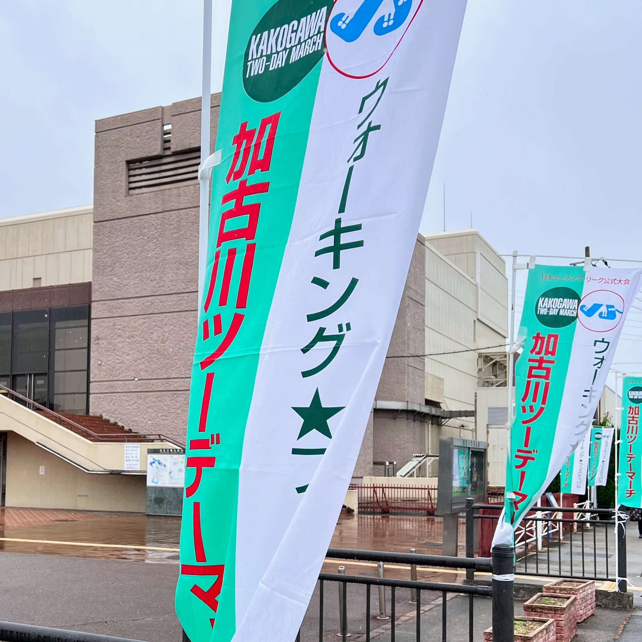 加古川ツーデーマーチの旗
