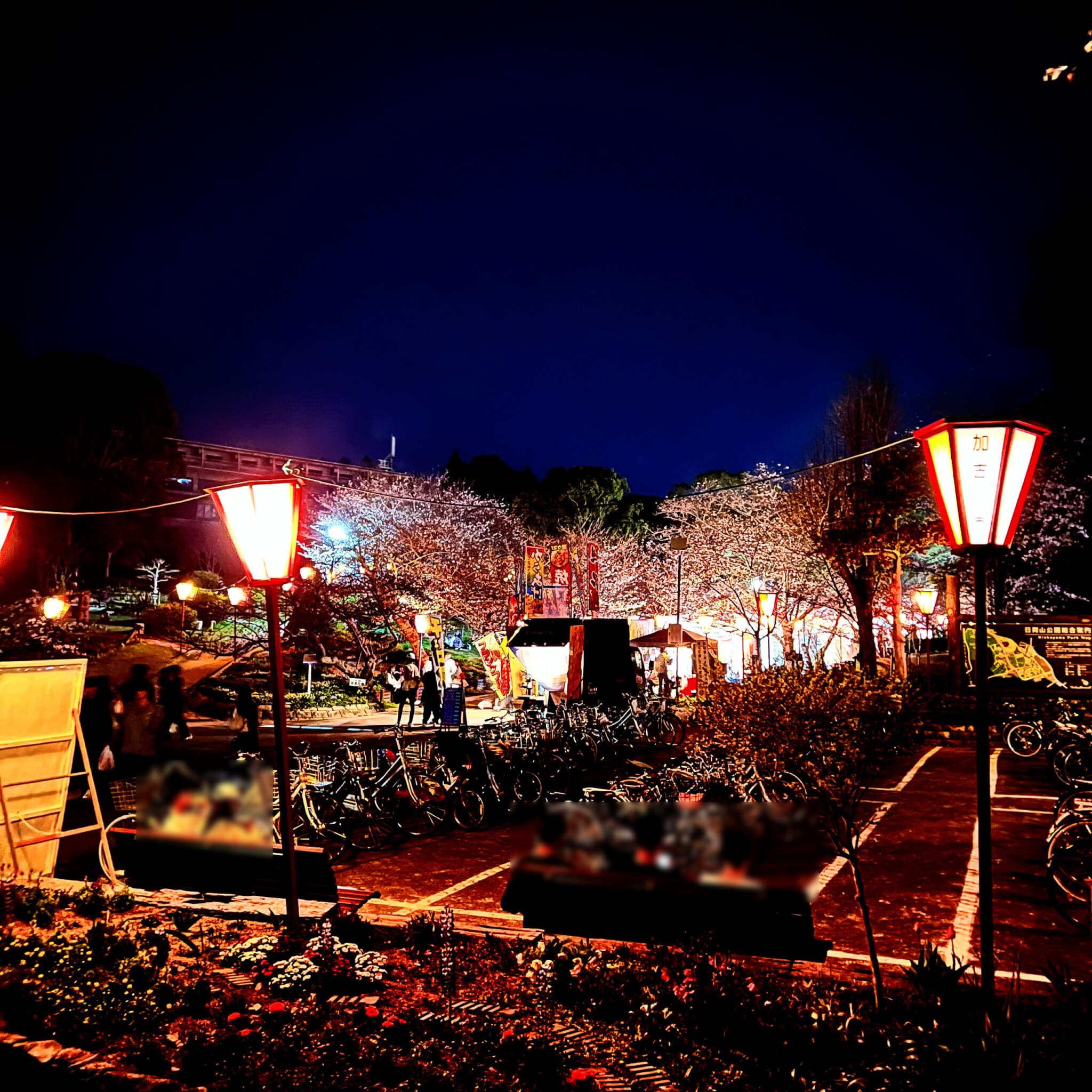 日岡山公園の花見の駐輪場。2024年4月2日撮影