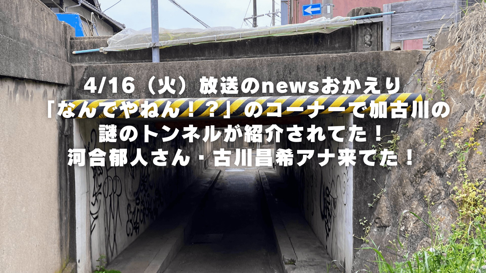 4/16（火）放送のnewsおかえり 「なんでやねん！？」のコーナーで加古川の 謎のトンネルが紹介されてた！ 河合郁人さん・古川昌希アナ来てた！