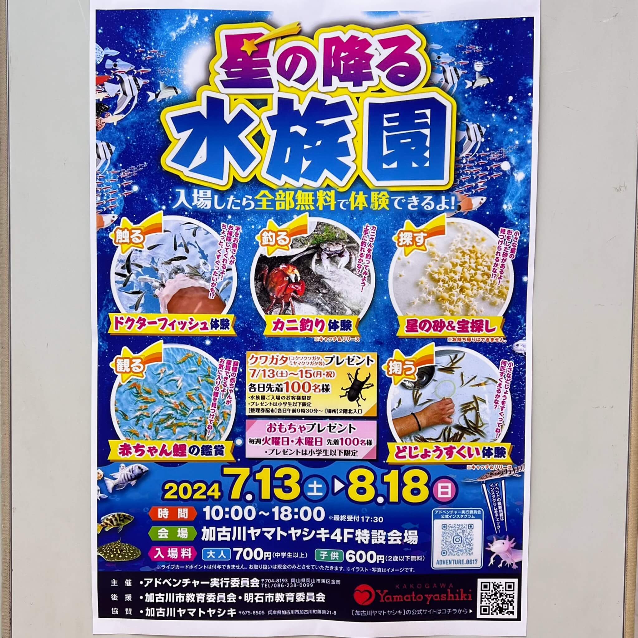 星の降る水族園ポスター