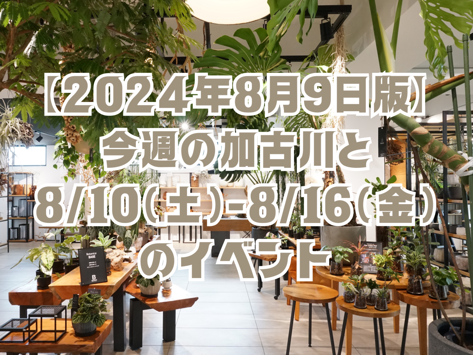 8/10(土)~8/16(金)に加古川で開催されるイベントまとめと今週の加古川【お盆休み期間】 | かこがわノート | 加古川市の地域情報サイト