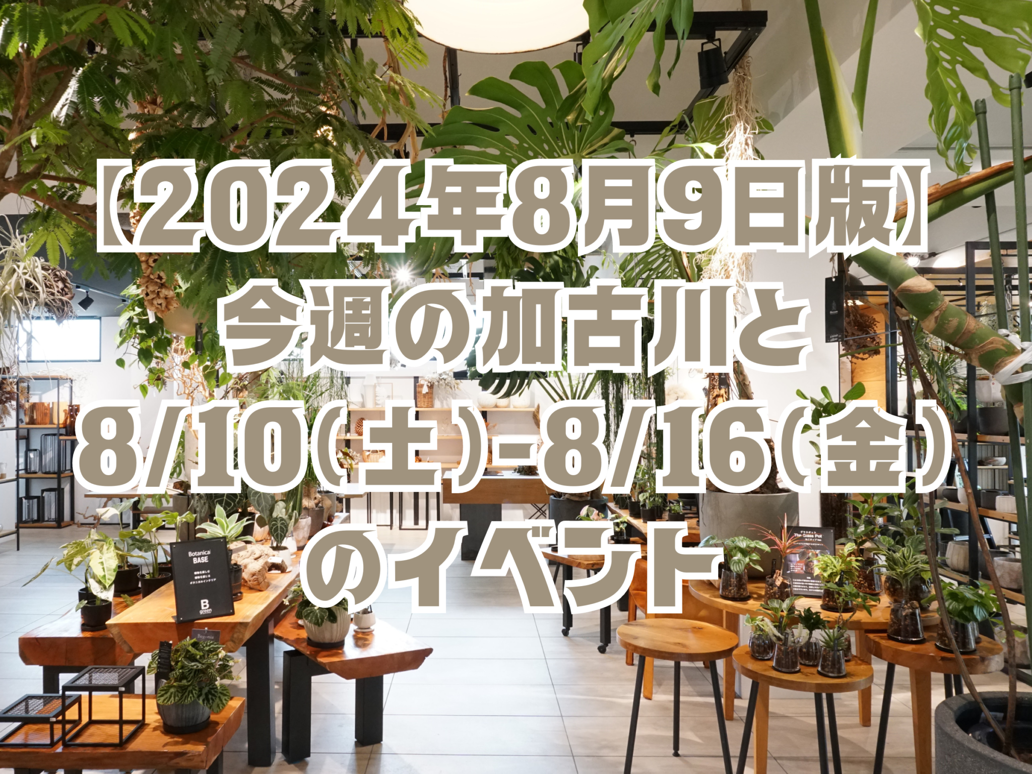 【2024年8月9日版】 今週の加古川と 8/10（土）-8/16（金） のイベント