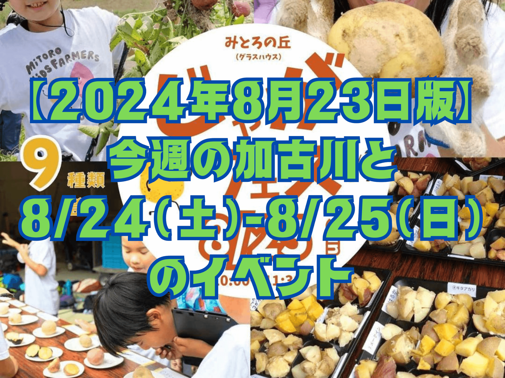 【2024年8月23日版】 今週の加古川と 8/24(土)-8/25(日) のイベント
