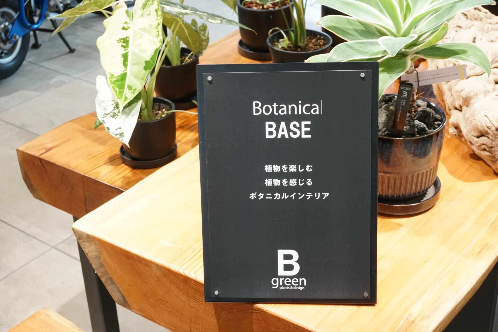 Botanical BASE
植物を楽しむ
植物を感じる
ボタニカルインテリア