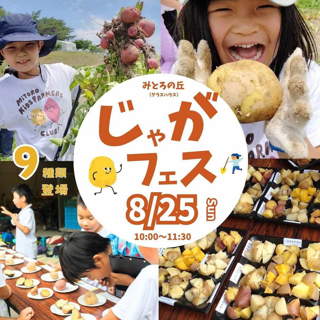 じゃがフェス 8/25日曜日 10時～11時半 みとろの丘 （グラスハウス）