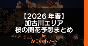 【2026年春】 加古川エリア 桜の開花予想まとめ by かこがわノート