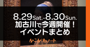 8.29Sat.-8.30Sun. 加古川で今週開催! イベントまとめ